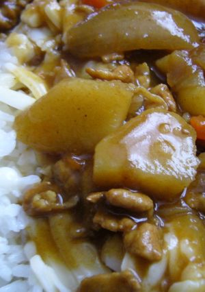 ウチの和風おろしカレー(*^艸^*)-レシピのメイン写真