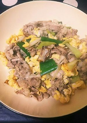 豚肉とねぎの卵いため-レシピのメイン写真