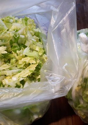 【冷凍保存】千切り白菜-レシピのメイン写真