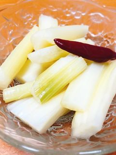セロリのピクルス-レシピのメイン写真