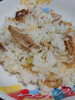 シンプル✨チキンと長ねぎの塩胡椒炒飯-レシピのメイン写真