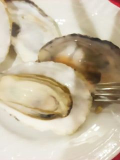 レンジで蒸し牡蠣・オイスター・ビアンコ-レシピのメイン写真
