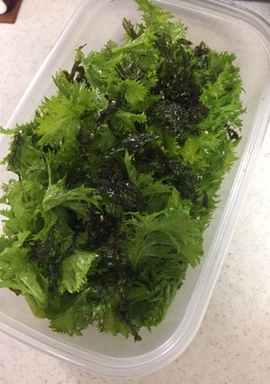わさび菜のチョレギサラダ-レシピのメイン写真
