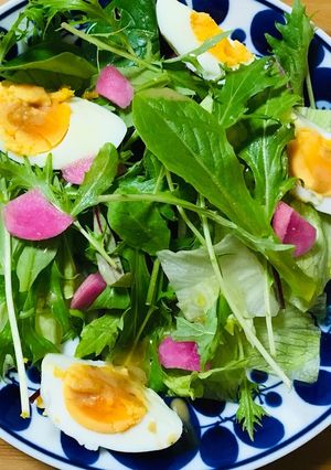 かぶの甘酢漬け☆彩りヘルシーサラダ-レシピのメイン写真