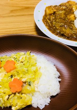 とりわけ可★1歳半から 白菜のカレー-レシピのメイン写真
