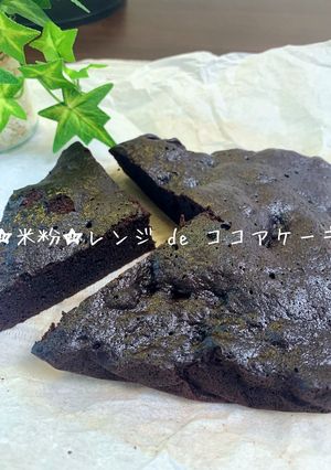 米粉のレンジ de ココアケーキ-レシピのメイン写真