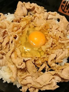 「伝説のすた丼」っぽい丼-レシピのメイン写真