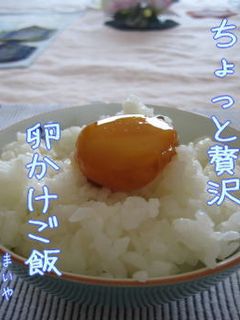 卵黄のダシ醤油漬け-レシピのメイン写真
