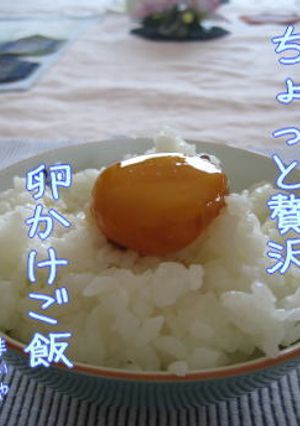 卵黄のダシ醤油漬け-レシピのメイン写真