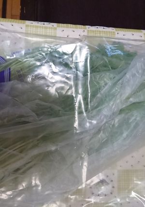 水菜の保存-レシピのメイン写真