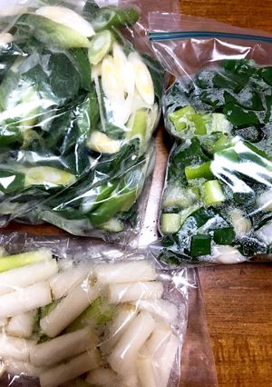 大量の長ねぎを保存する方法-レシピのメイン写真
