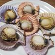 ひおうぎ貝の焼き
