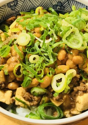 納豆麻婆豆腐丼-レシピのメイン写真