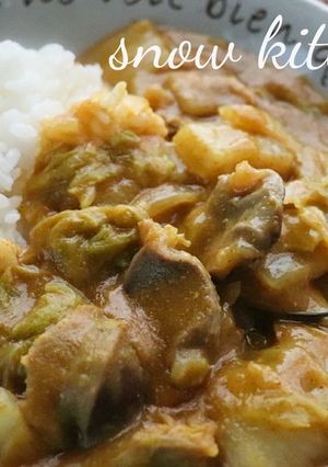 シャキシャキこりこり♪白菜と砂肝のカレー-レシピのメイン写真