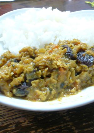 高野豆腐と牛蒡のドライカレー-レシピのメイン写真