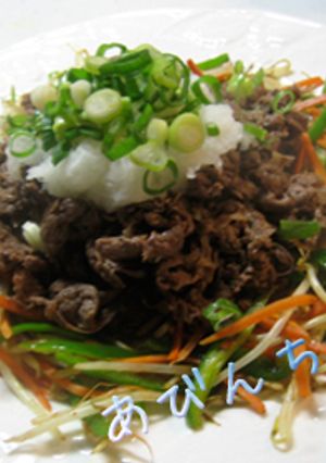 さっぱり焼き肉〜あびんち風-レシピのメイン写真