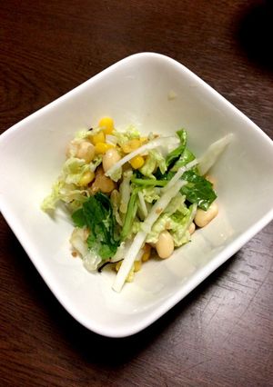 白菜を生で☆和風サラダ-レシピのメイン写真