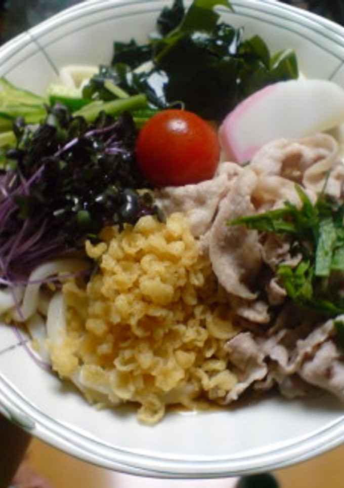 具がたっぷりの冷やしうどん-レシピのメイン写真