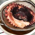 茹でタコになりたいタコ足!