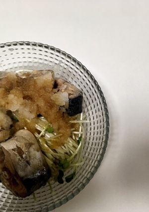 5分で簡単！ サバ水煮おろしポン酢-レシピのメイン写真