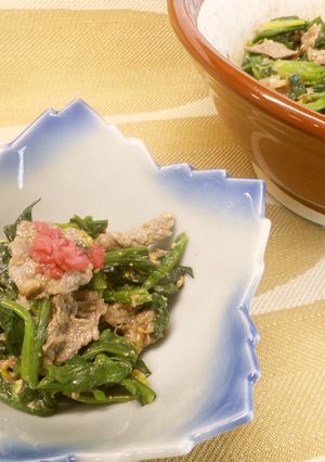 めっけもん♪ほうれん草と牛肉の味噌和え-レシピのメイン写真