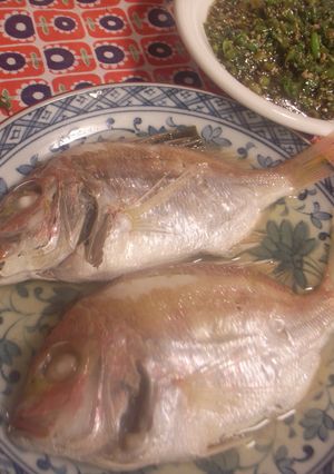 小鯛の酒蒸し（ねぎダレ）-レシピのメイン写真