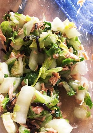白菜とツナと塩こんぶのサラダ-レシピのメイン写真