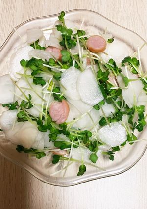 蕪と貝割れのサラダ-レシピのメイン写真