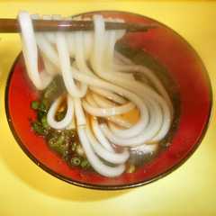 รูปของ 関西風　釜茹（ゆ）でうどん　うまい！