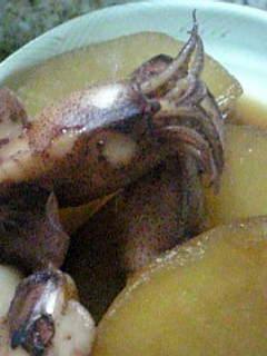 ヒイカの煮付け-レシピのメイン写真