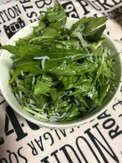 スピードメニュー水菜としらすのサラダ-レシピのメイン写真