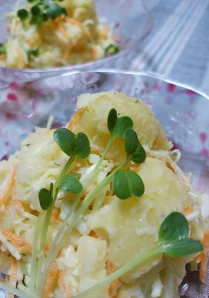 手作りマヨネーズのポテト野菜サラダ-レシピのメイン写真