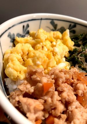 野菜たっぷりそぼろ丼-レシピのメイン写真