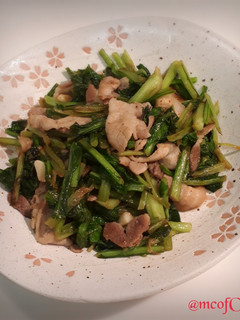 もち菜と豚肉のニンニク炒め-レシピのメイン写真