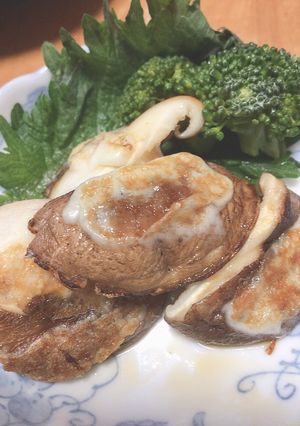【最後の一滴】しいたけのチーズ焼き-レシピのメイン写真