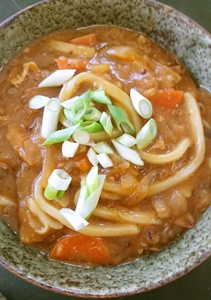 040　濃厚しもつかれーうどん-レシピのメイン写真