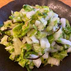 白菜と塩昆布の副菜-レシピのメイン写真