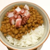 基本からアレンジまで！思わずつくりたくなる「たこ 納豆」のレシピ集