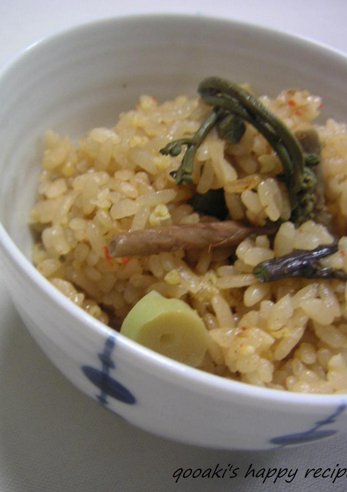 山菜の炊き込みご飯　韓国風-レシピのメイン写真
