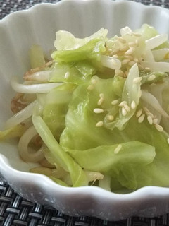 レンジでキャベツのナムル-レシピのメイン写真
