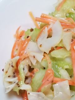 セロリとイカくんのおつまみサラダ-レシピのメイン写真