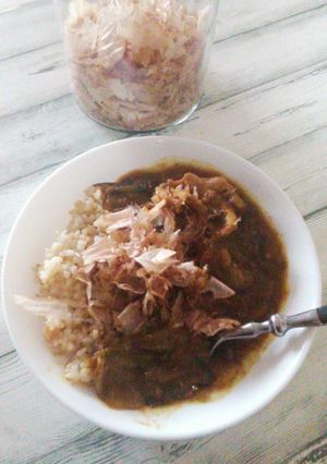 水炊き鍋リメイク次の日に大胆和カレー-レシピのメイン写真