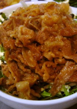 「焼き肉のたれ」で作るハリハリ豚丼-レシピのメイン写真