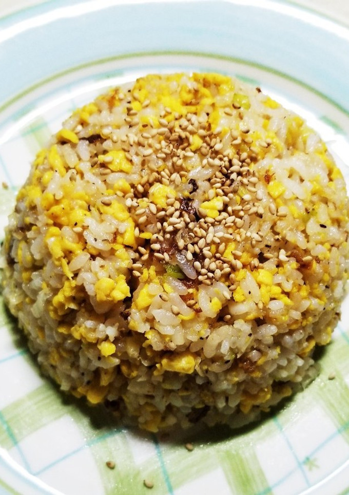 卵と長ネギの炒飯-レシピのメイン写真