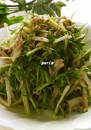 水菜ともやしのサバ水煮缶サラダ-レシピのメイン写真