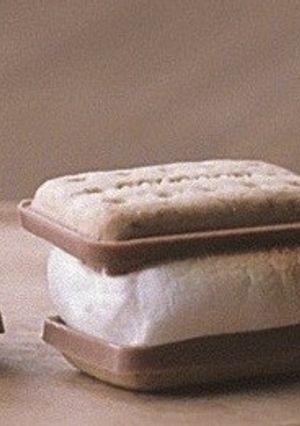 マシュマロ♡アルフォートでかんたんスモア-レシピのメイン写真