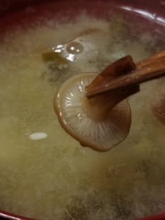 天然エノキダケと白菜の味噌汁-レシピのメイン写真