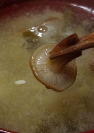 天然エノキダケと白菜の味噌汁-レシピのメイン写真