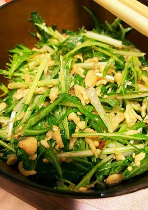 水菜と天かす（揚げ玉）の無限サラダ-レシピのメイン写真