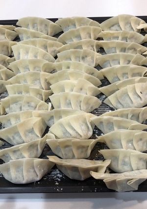 手作り餃子-レシピのメイン写真